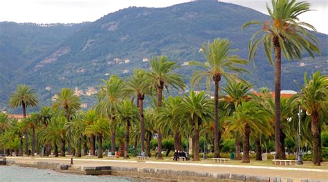 Hôtels proches du Terminal ferry de Nice à partir de 150 .